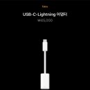 애플 USB-C-Lightning 어댑터 이미지