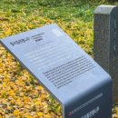 하촌할머니 이미지