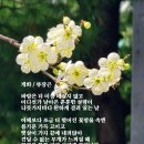 개화 이미지
