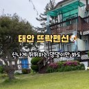 펫뜨락 이미지