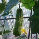 김상록농장 이미지