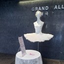 지그프리드 | 클래식 발레의 명작! 2026 국립발레단 백조의 호수 대구 공연 후기, 부산 강릉 서울 일정