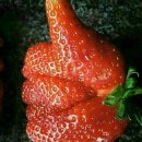 웅천친수공원 이미지
