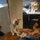 바밤바(BarBamBar)