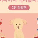 정든동물병원 이미지