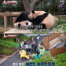 둘만농장 엑스포츠뉴스
