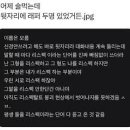 낙낙