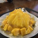 솔레나 타로 이미지