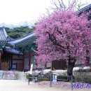 (주)건축사사무소 아라가야 이미지