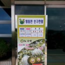 맹동면사무소 이미지