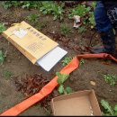 대광농장 이미지