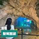 천보산업 | 충북 충주 겨울 여행지 활옥동굴 소요시간 카약 놀거리