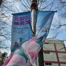 2024 목포 유달산 봄축제 후기 /벚꽃 개화 정도는요~!