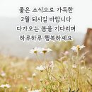 아리랑 이미지