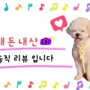 두잇투릿 이미지