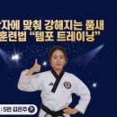 국가대표 강철태권도장 이미지