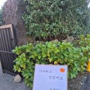 토산농장 | 제주 귤체험 추천, 보내다제주에서 직접 따본 귤 내돈내산 후기