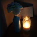 힐링 꽃꽃이 이미지