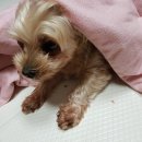 수니인테리어 이미지