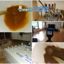 지역난방공사  장안열원발전소 | 수원보일러배관청소 (지역난방) 수원시 장안구 천천동 삼호진덕아파트 현장 사례