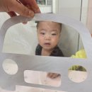 띠띠빵빵 Daum카페
