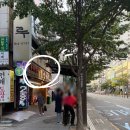 부산 서면 한우 최상급 투쁠 9등급만 취급하는 "서면 한우가" 솔직 후기, 메뉴, 꿀조합 추천