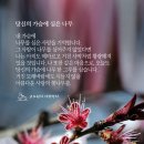 나는나무,당신은꽃