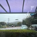 종가집참숯닭갈비 | 가평 쁘띠프랑스 참숯 닭갈비 맛집 &#34;검단집&#34; 후기