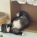 만세약품 이미지