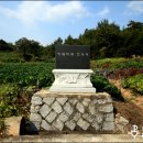 용산-이촌-1950 이미지