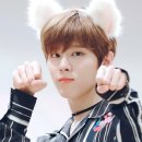 고고안경 이미지