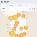 진달래패션 이미지