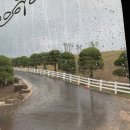 지탄목장 이미지