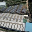 만석태양광발전소 이미지