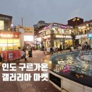 마법사약국 | 인도 구르가온 갤러리아 마켓 장난감 가게, 할로윈 의상 구입