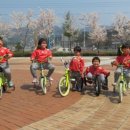 무을초등학교 병설유치원 이미지