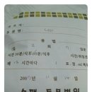 솔펫 동물병원 이미지