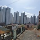 백양공인중개사사무소 이미지