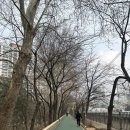 스테이 서래 이미지