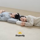 웰리더