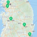 하이바이분양소 강아지고양이 대전점 이미지