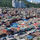 (주)영중개발(2호기) | 재개발 무허가건축물 토지불하가 무조건 유리할까?