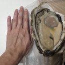 라켓리트리트 이미지