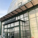 플랜트 노크