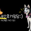 숙희네 개집 이미지