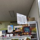 오천택지하나로마트 | 영주 김밥맛집 가흥동 택지김밥 후기