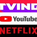 스테이화가 이미지