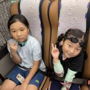 용인대 금강 태권도장 이미지
