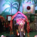 점보빌리지 이미지