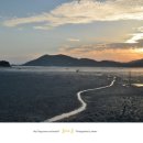 와온해변 네이버블로그